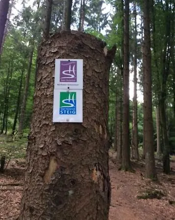 Landhaus Alte Muhle Гостевой дом Borfink