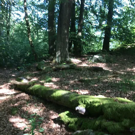 Landhaus Alte Muhle * Borfink