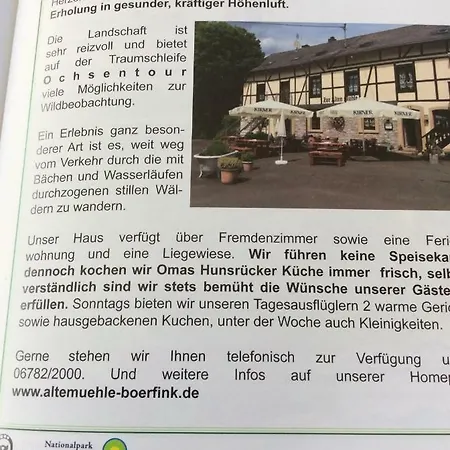 Landhaus Alte Muhle Гостевой дом Borfink