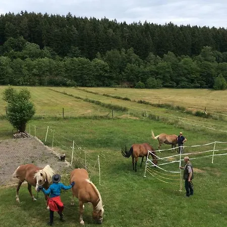 Landhaus Alte Muhle Borfink
