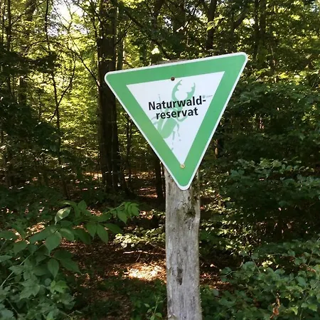 Гостевой дом Landhaus Alte Muhle *