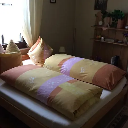 Landhaus Alte Muhle Гостевой дом Borfink